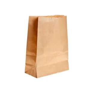 PAPER SHOPPER BAG BROWN MEDIUM 305x160x430
