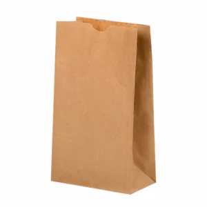 S.O BROWN PAPER BAG SIZE 10  165+110x335mm
