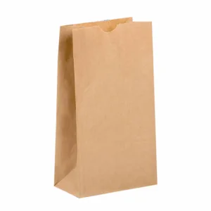 S.O BROWN PAPER BAG SIZE 8  165+110x305mm