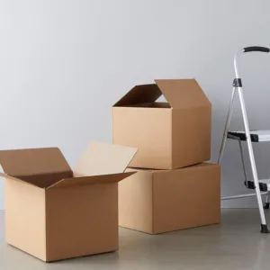 CORRUGATED DOUBLE WALL BOX #30 730x520x500