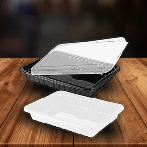 PLASTIC CONTAINER CLEAR & CLEAR LID 38F 196x147x38mm (1x10)