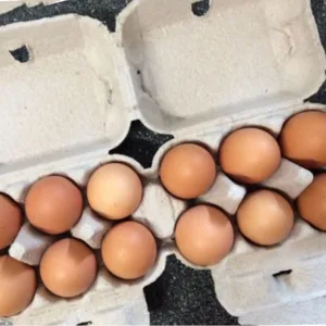 EGG TRAYS 2x6'S (1x170)