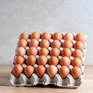 EGG TRAY 30'S BASES (1x160)