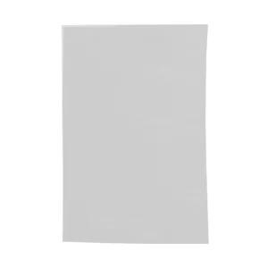 BUDGET FLAT BAG 23x31 20mic  WHITE