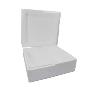 POLYSTYRENE ICE CREAM BOX 16.5 x 16.5 x 9.5cm