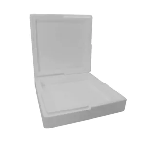 POLYSTYRENE ICE CREAM BOX 16.5 x 16.5 x 5.5cm