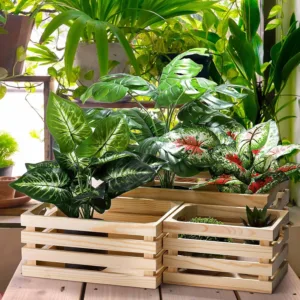 NATURAL WOODEN CRATE 48X29X20