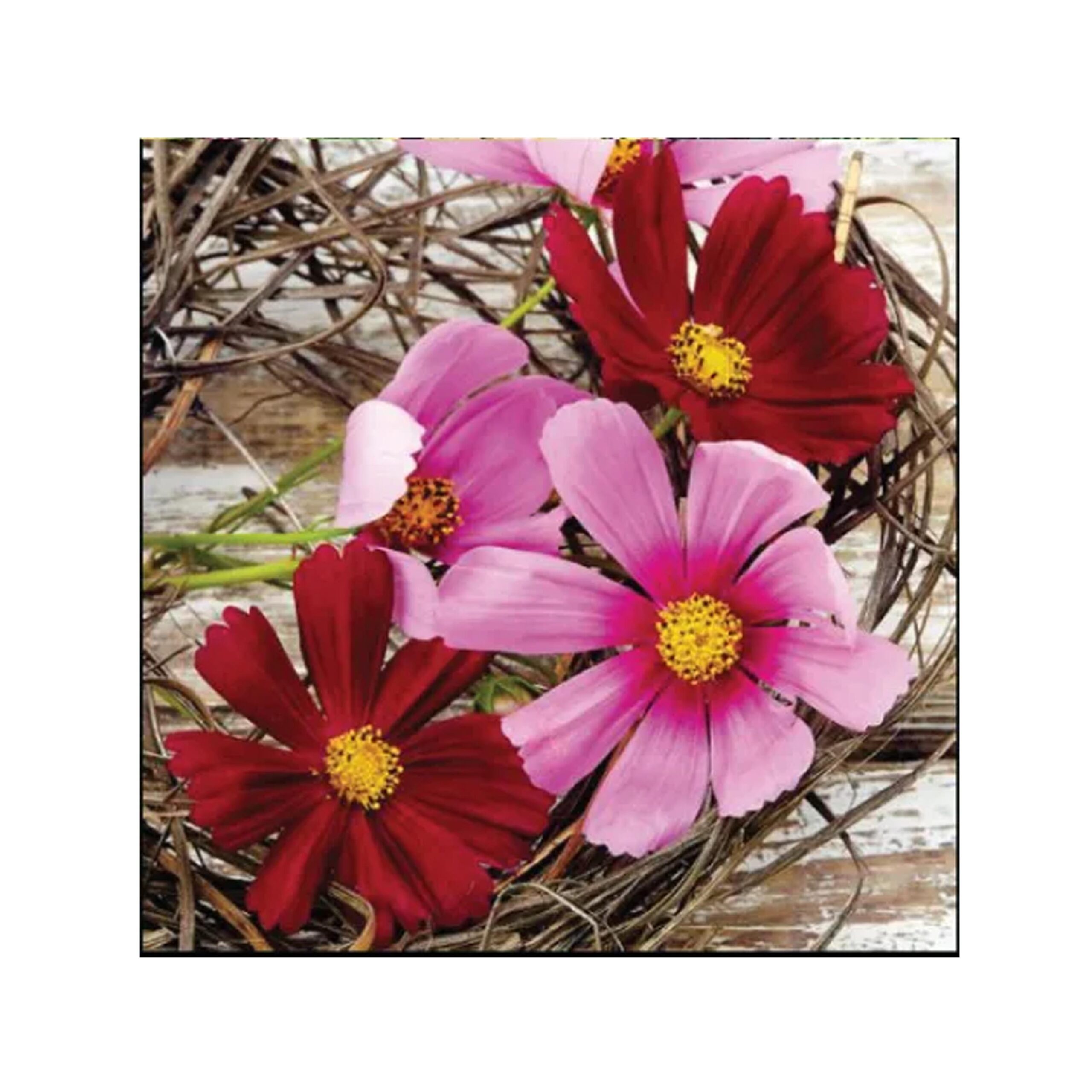 3 PLY LUNCH
SERVIETTES 33X33
COSMOS
FLOWERS 20s