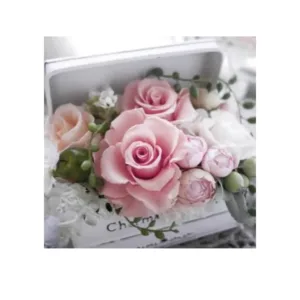 3 PLY SERVIETTES 33X33 CHARMING BOX  20s