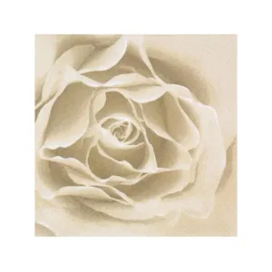 3 PLY LUNCH SERVIETTES 33X33 SCENT OF ROSE GOLD  20s