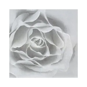 3 PLY LUNCH SERVIETTES 33X33 SCENT OF ROSE SILVER  20s