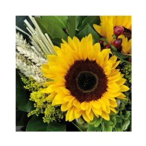 3 PLY LUNCH SERVIETTES 33X33 SUNFLOWER DESIGN 20s (TBD)