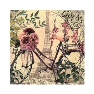 3 PLY LUNCH SERVIETTES 33X33 VELO A PARIS 20s (TBD)