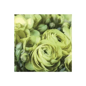 DESIGNER SERVIETTES 3-PLY BUTTERCUP GREEN (1x20) (TBD)