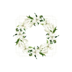 DESIGNER SERVIETTES 3-PLY MADONNA LILY WREATH 33x33cm (1x20)