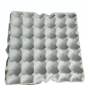 EGG TRAY 30'S LIDS (1x450)