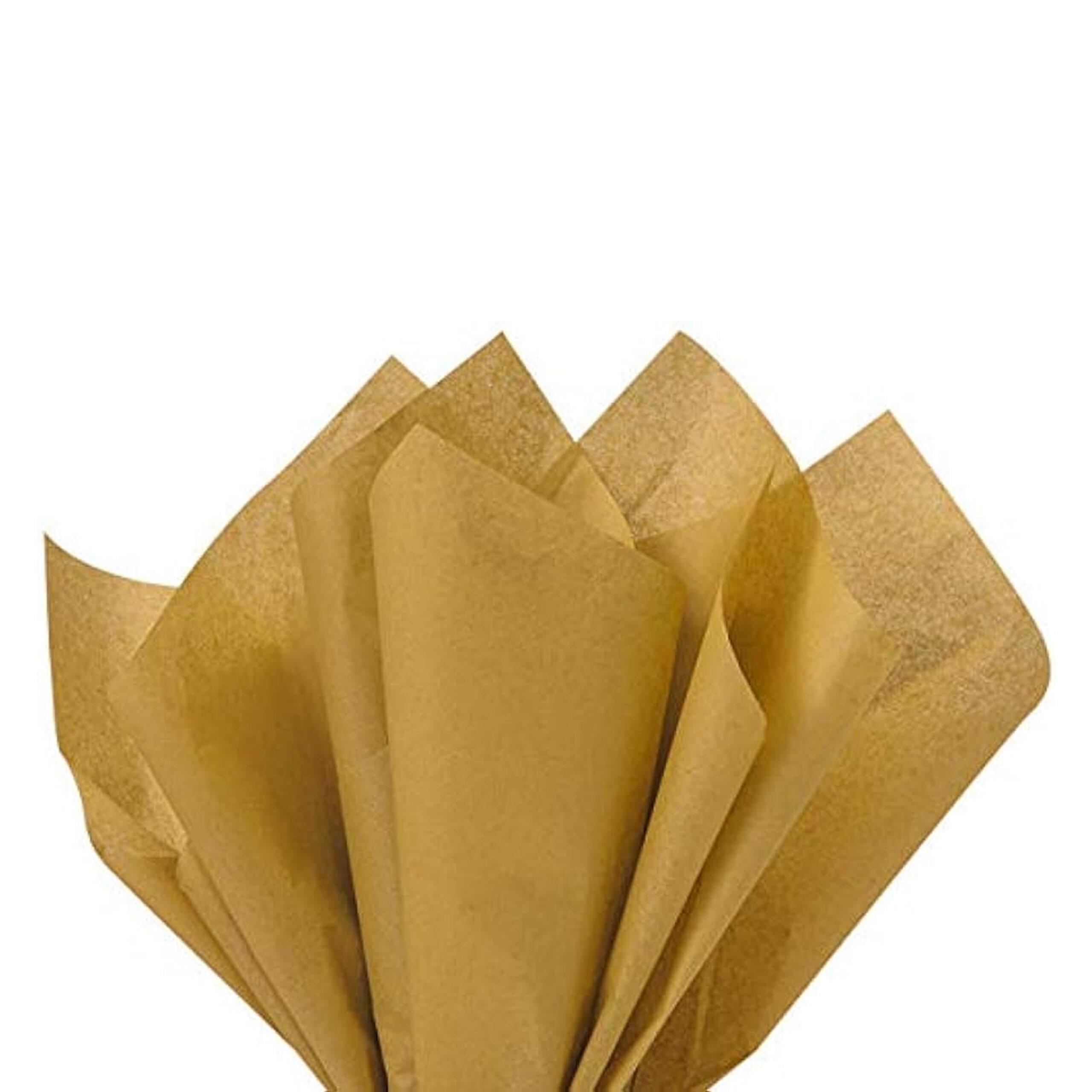 TISSUE PAPER
GOLD 10 SHEETS
50x66cm