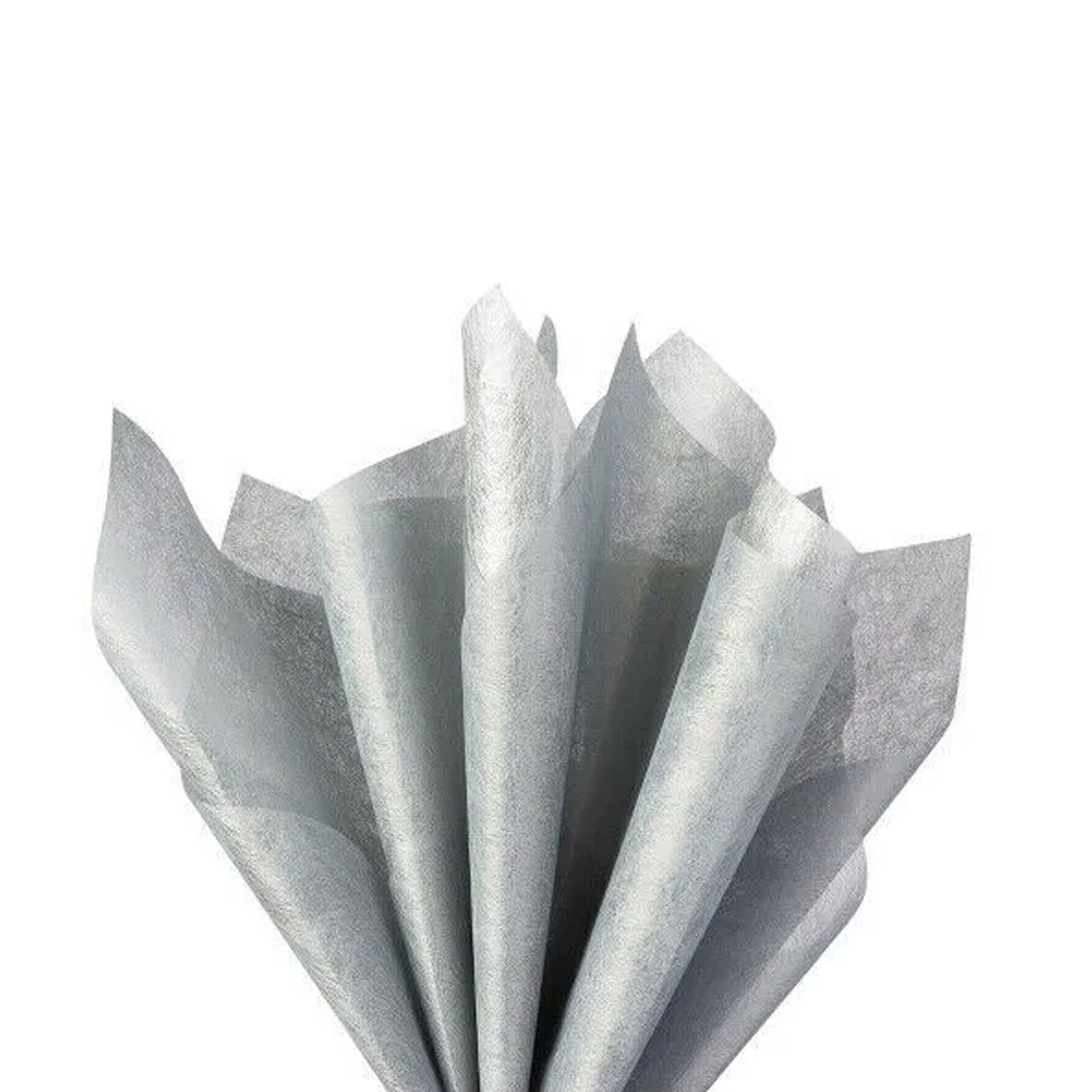TISSUE PAPER
SILVER 10 SHEETS
50x66cm