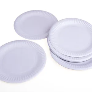 PAPER PLATE (1x50) (TBD)