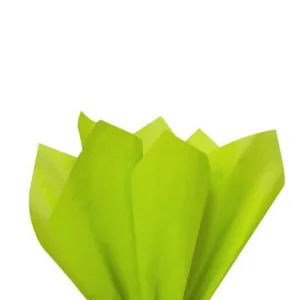 TISSUE PAPER BRIGHTS 50x66cm GREEN (1x10)