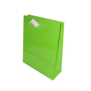 GIFT BAG KIWI GREEN 26+9x32 (TBD)