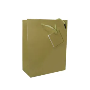 GIFT BAG GOLD 17+8x22cm (1x20)