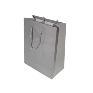 GIFT BAG SILVER 17+8x22cm