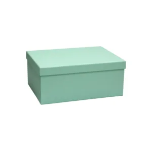 GIFT BOX PASTEL GREEN SIZE 5 26x19x11cm