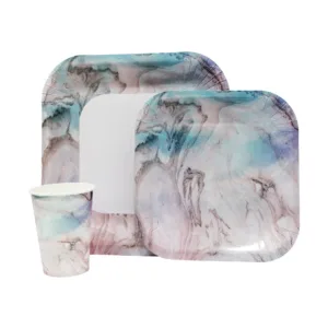 DISPOSABLE DINNER SET 60PC BUBBLEGUM SWIRL (C)