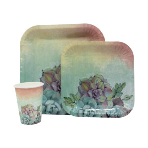 DISPOSABLE DINNER SET 60PC WATERCOLOUR ROSES (R)