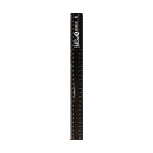 LION BRAND RULER 30cm